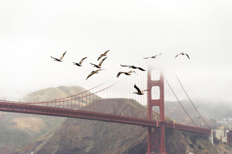 Must-Know Facts About the Golden Gate Bridge